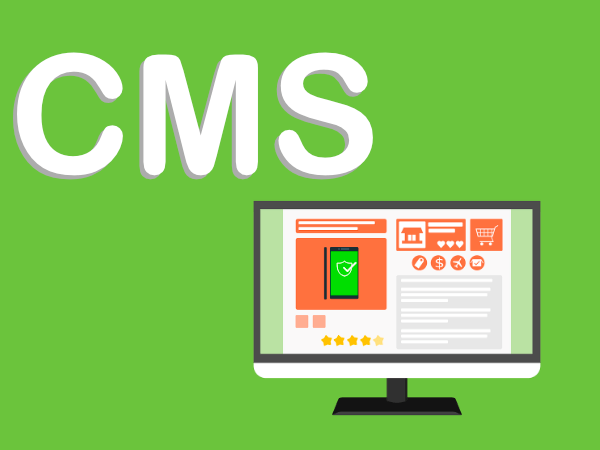 The 3 best CMS for online store